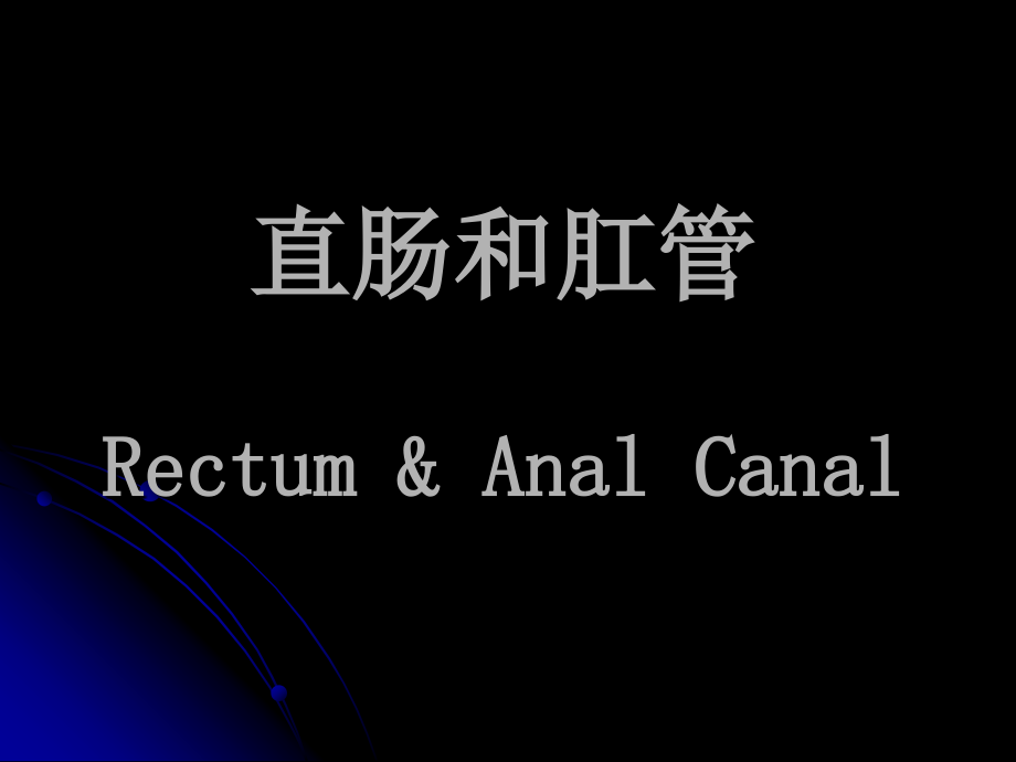 医学-人体解剖学-直肠和肛管课件.ppt_第1页