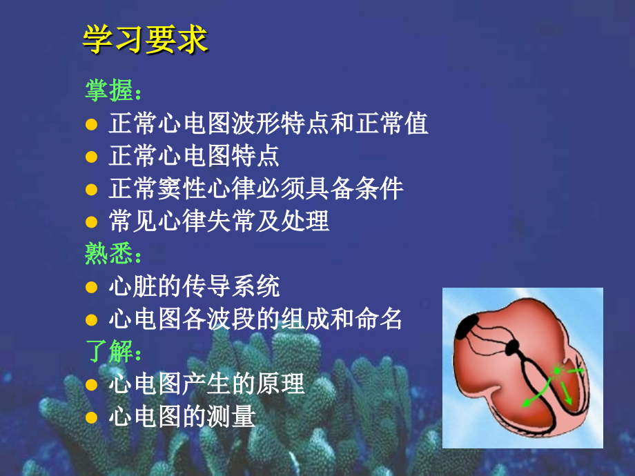 心电图知识课件.ppt_第1页