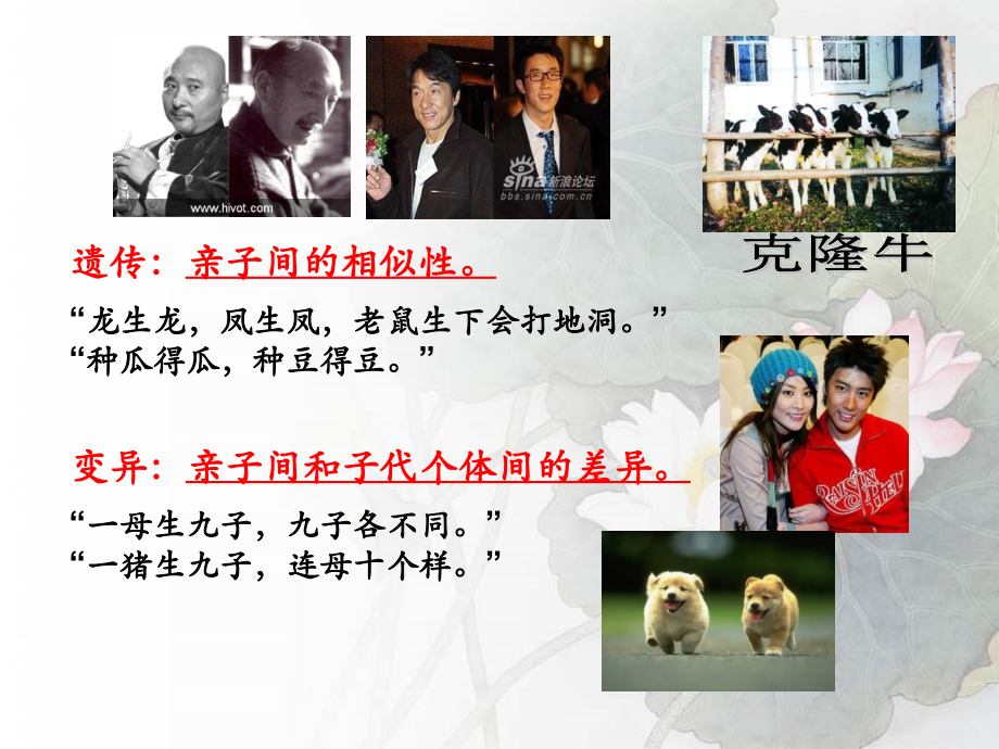 总复习：生物的遗传和变异复习2课件.ppt_第2页