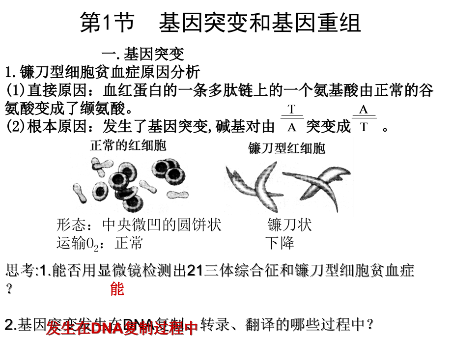 基因突变基因重组.ppt_第1页