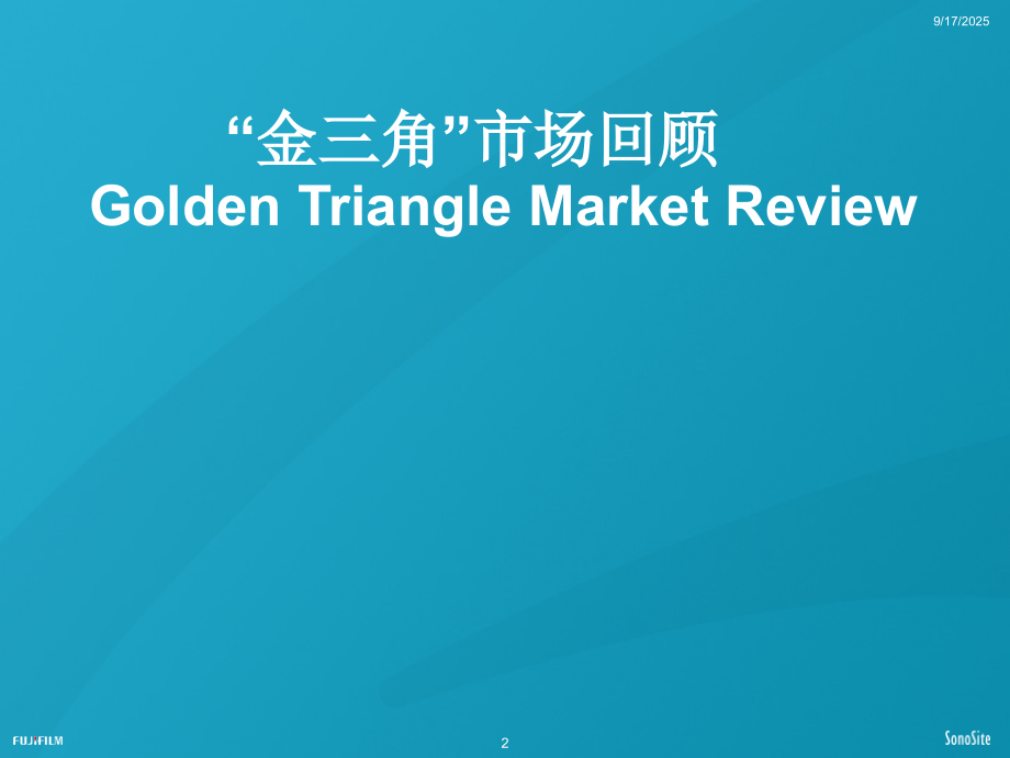 POC临床超声市场回顾.ppt_第2页