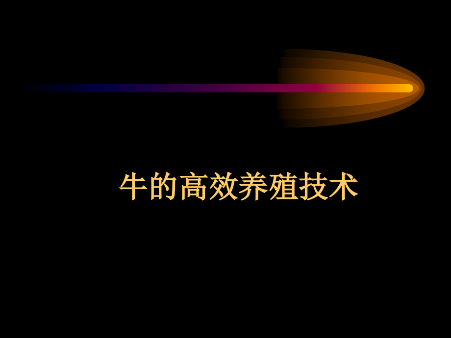 牛的高效养殖技术课件.ppt_第1页