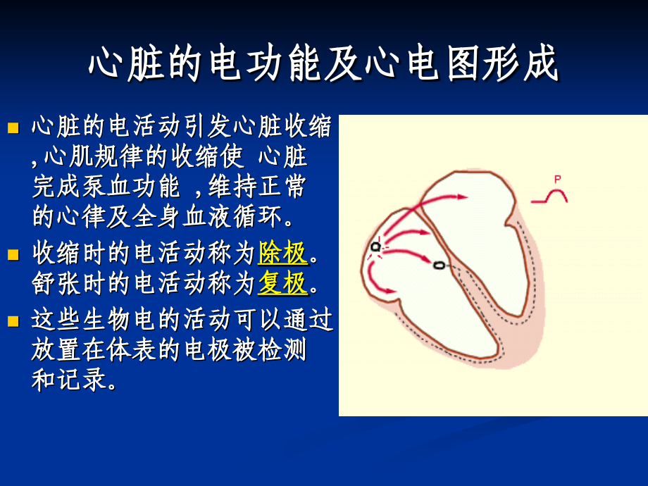 心电图的呢课件.ppt_第1页