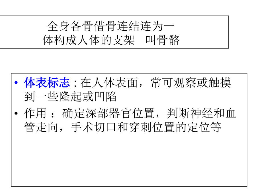 山东省春考护理解剖学第04部分---运动系统课件.ppt_第2页