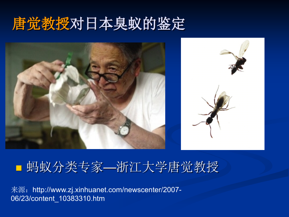 第12专题-分子生物学技术在昆虫分类学中发展课件.ppt_第2页