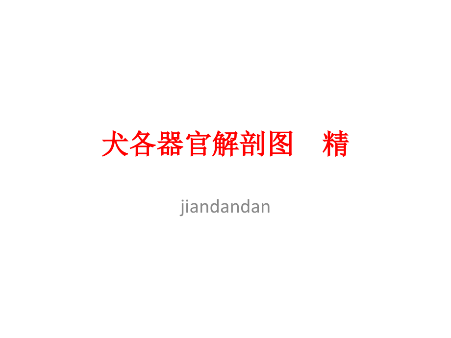 犬各器官解剖结构图--精课件.pptx_第1页