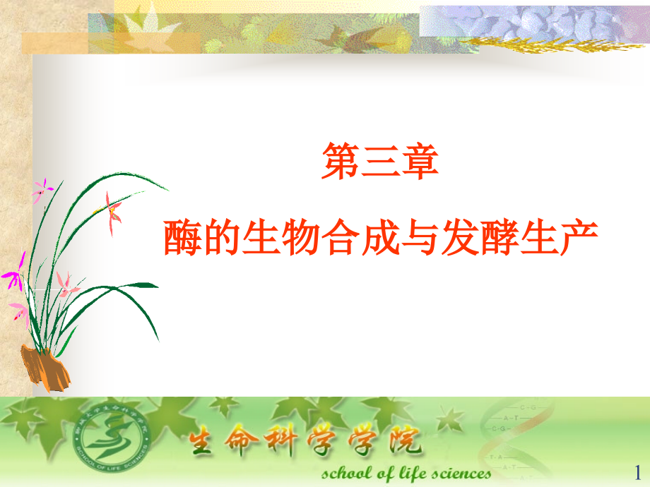 第三章-酶的生物合成法生产课件.ppt_第1页