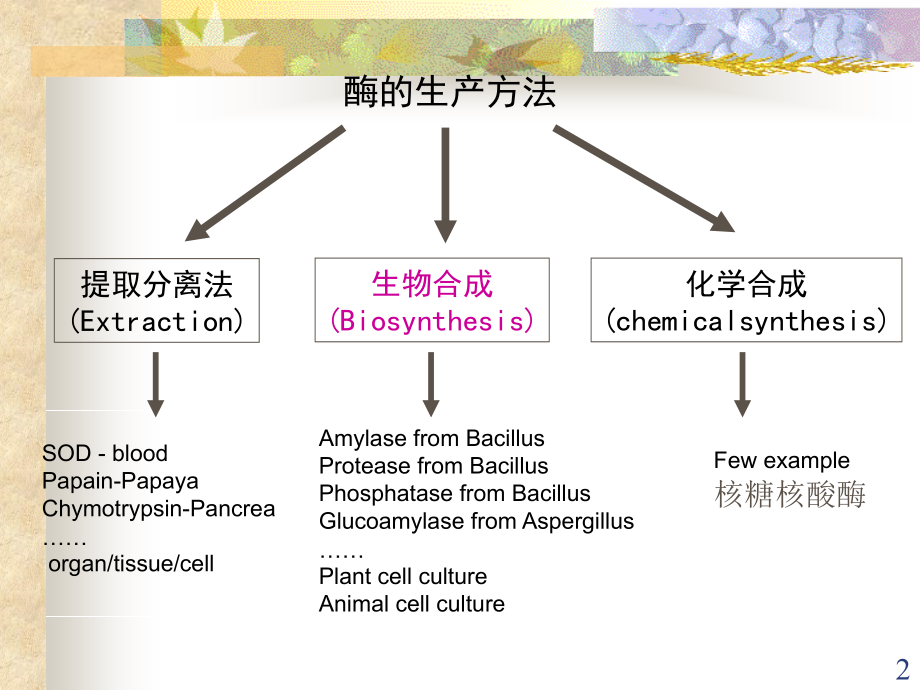 第三章-酶的生物合成法生产课件.ppt_第2页