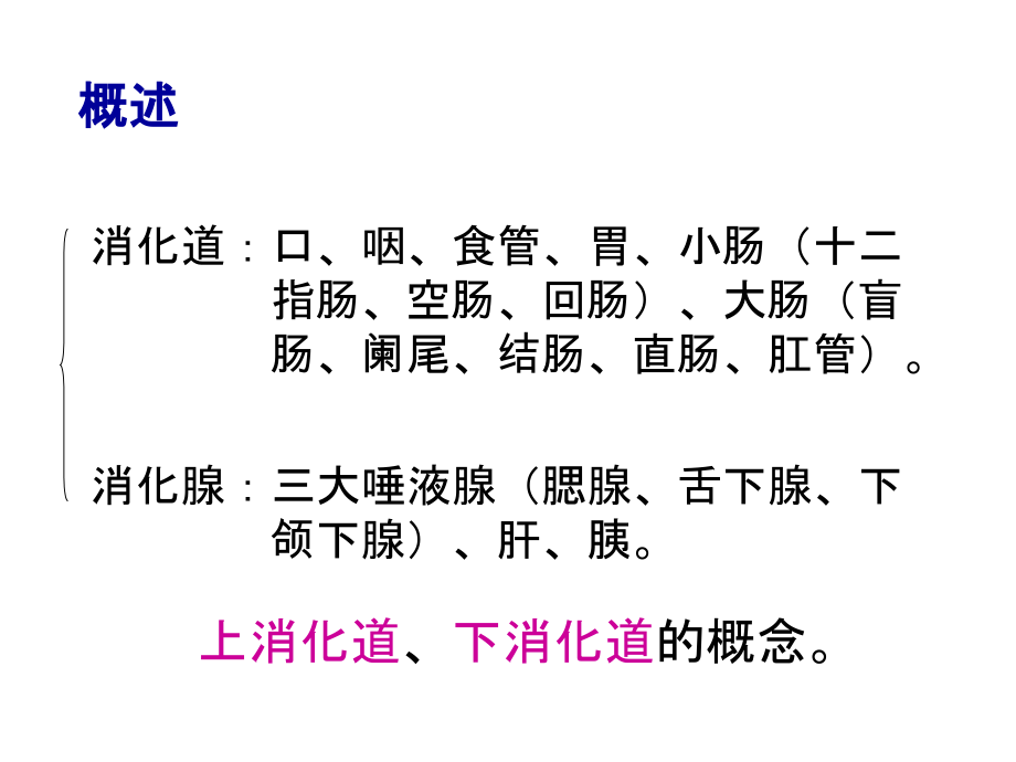 消化系统(修改).ppt_第1页