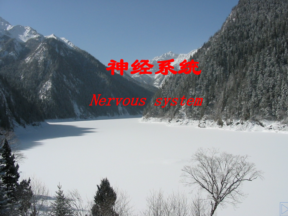 神经系统总论课件.ppt_第1页