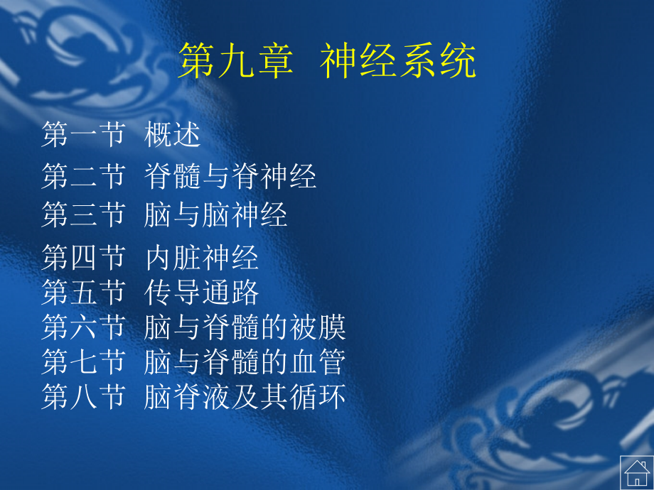 神经系统总论课件.ppt_第2页
