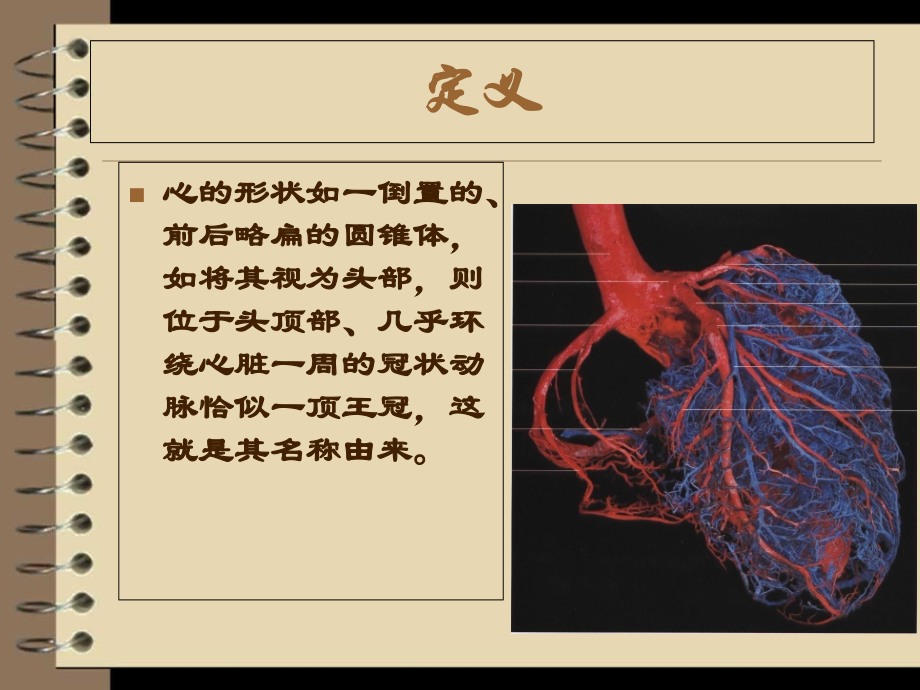 左冠状动脉解剖课件.ppt_第1页