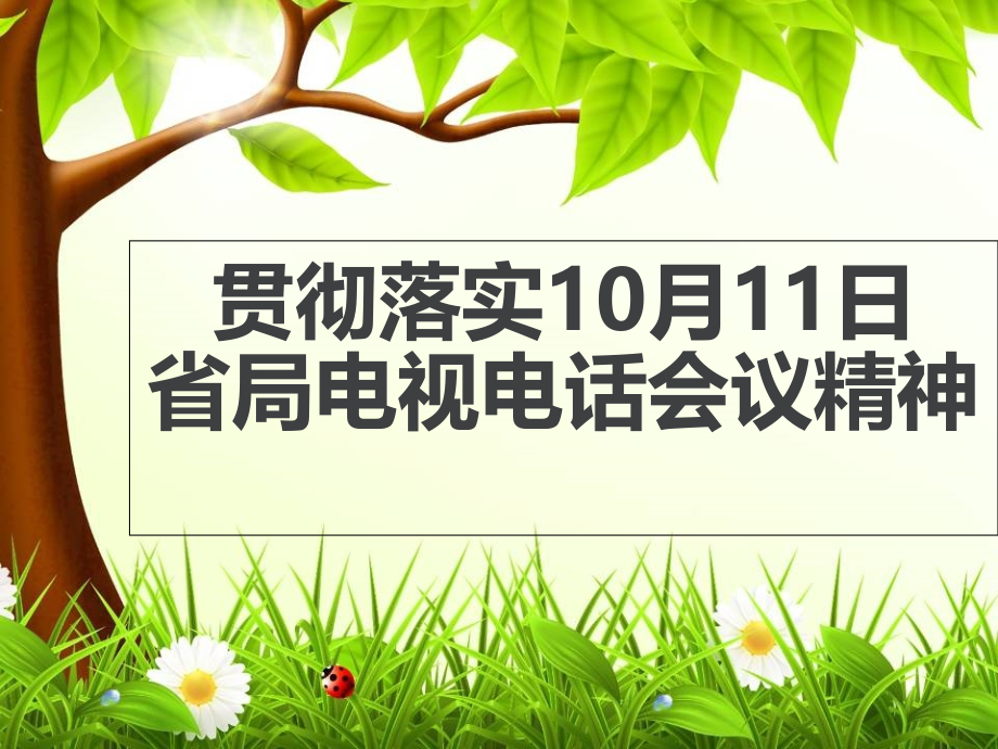 山东省电视电话会议课件.ppt_第1页