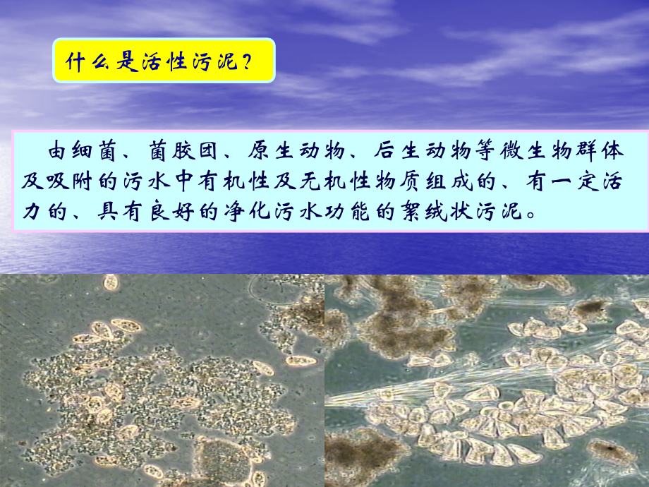 污水的生物处理-活性污泥法课件.ppt_第2页