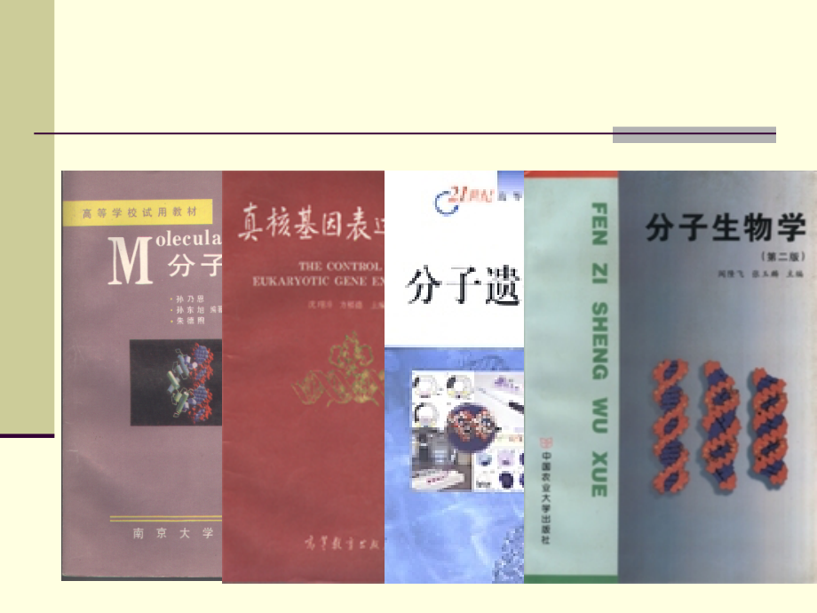 第一章绪论分子生物学.ppt_第2页