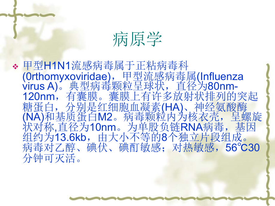 甲型H1N1流感诊疗方课件.ppt_第2页