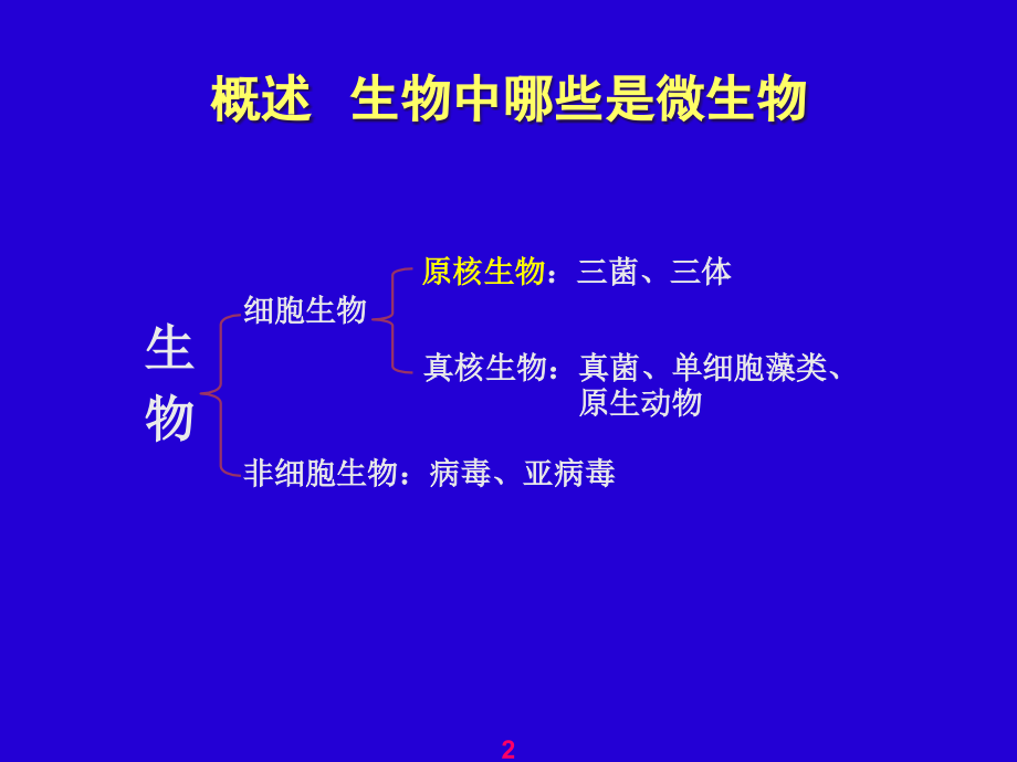 环境工程微生物学-原核微生物课件.ppt_第2页