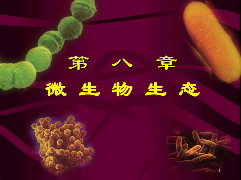 第八章-微生物生态(li)课件.ppt_第1页