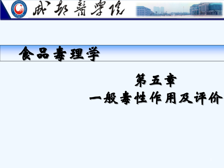 一般毒性作用及评价.ppt_第1页