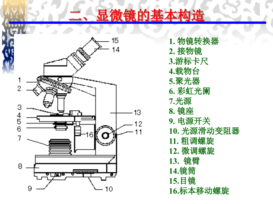 实验一-显微镜的使用及微生物形态的观察课件.ppt_第2页
