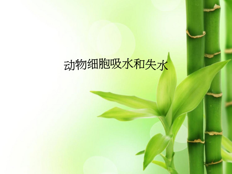 动物细胞的吸水和失水课件.ppt_第1页