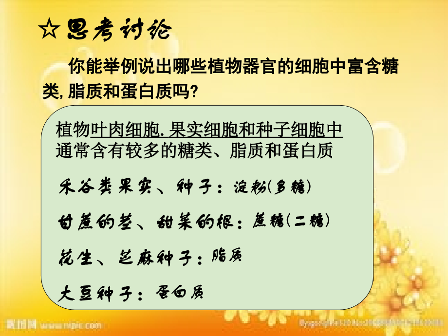 生物必修一-实验：检测生物组织中的糖类-脂肪和蛋白质.ppt_第1页