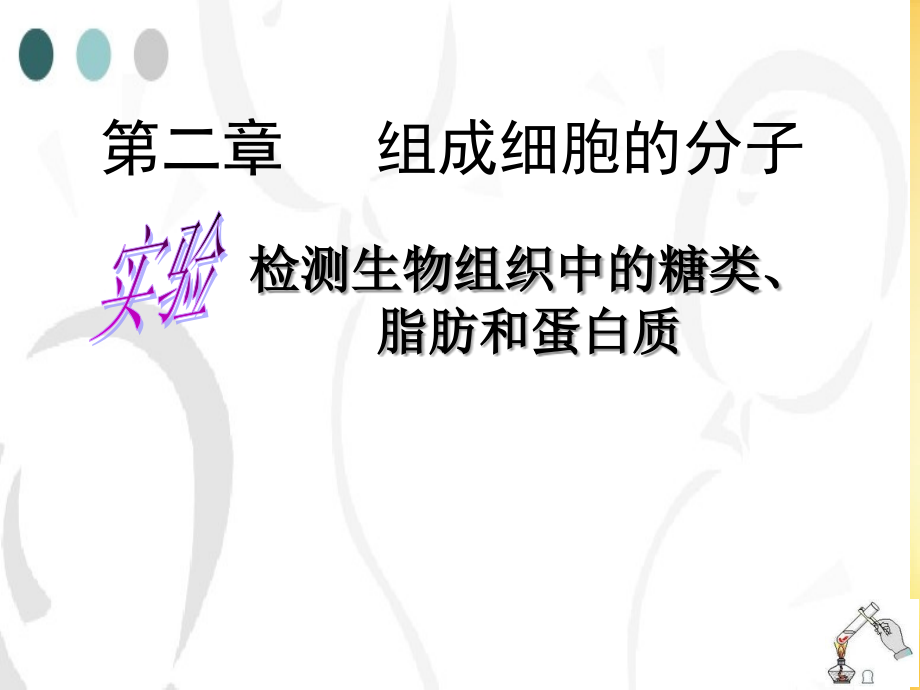 生物必修一-实验：检测生物组织中的糖类-脂肪和蛋白质.ppt_第2页