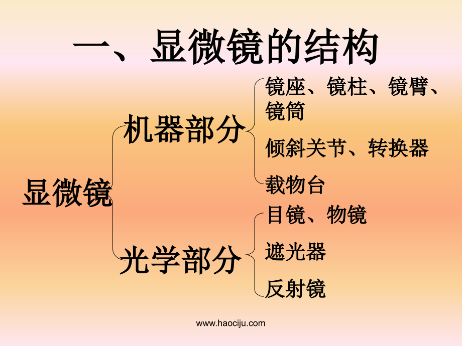 显微镜的结构与使用课件.ppt_第2页