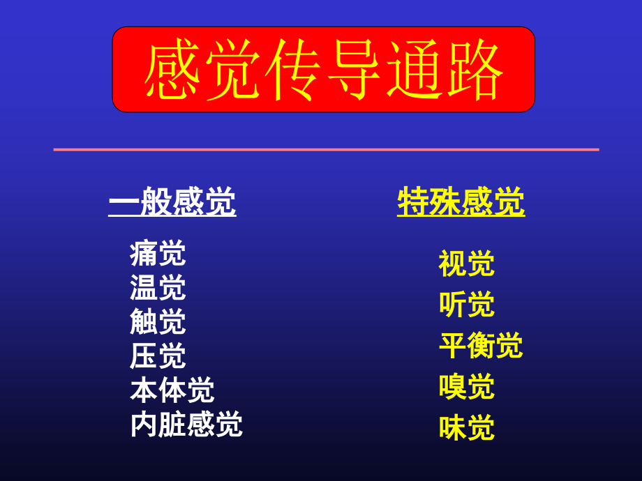 感觉传导通路课件.ppt_第1页