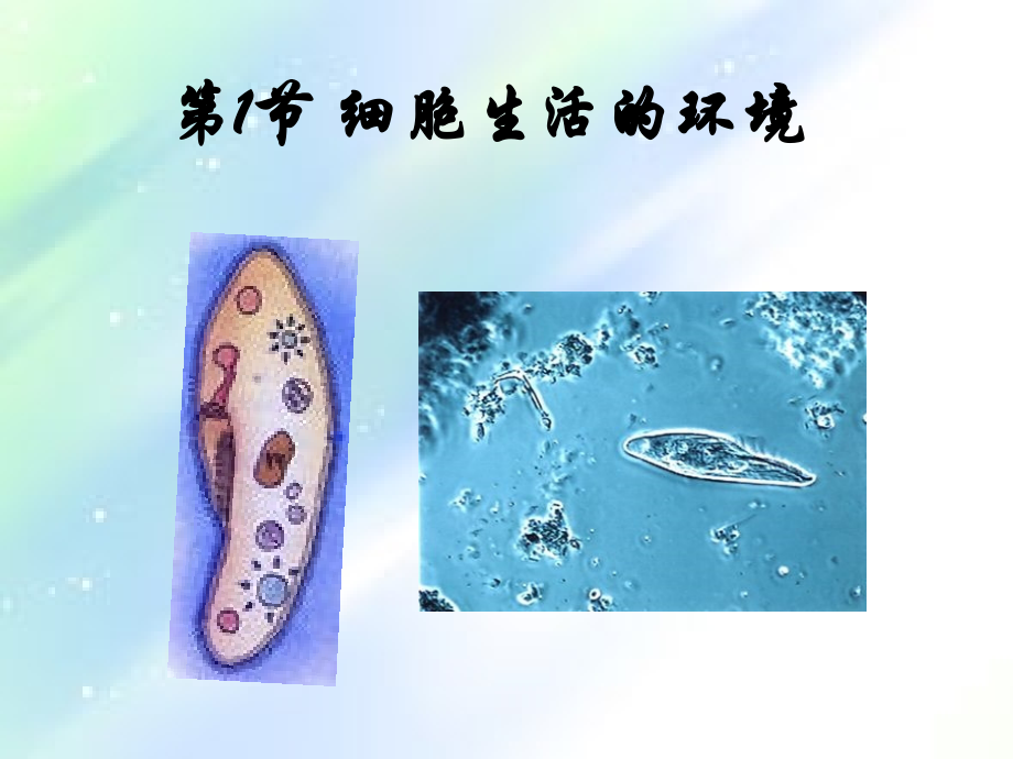 高中生物必修三-细胞生活的环境.ppt_第2页