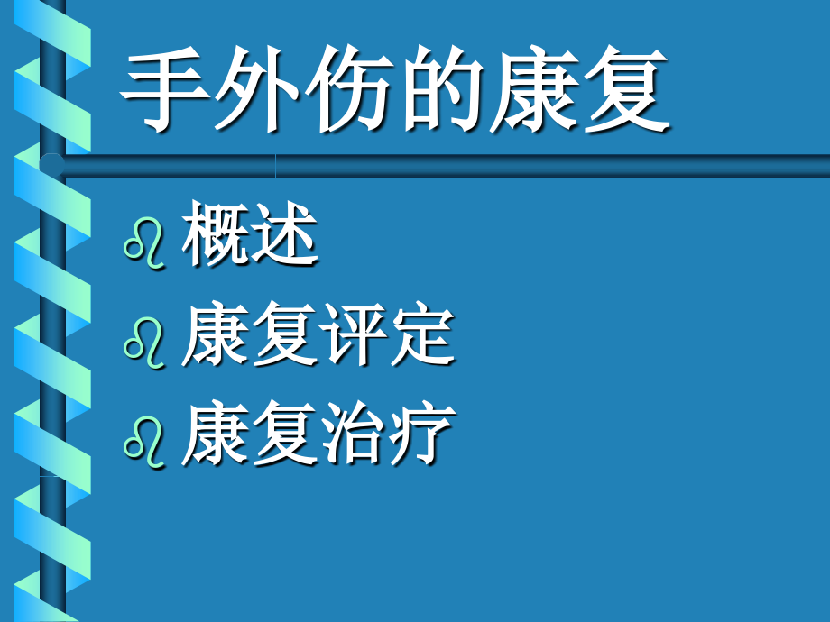 手功能康复大纲.ppt_第2页