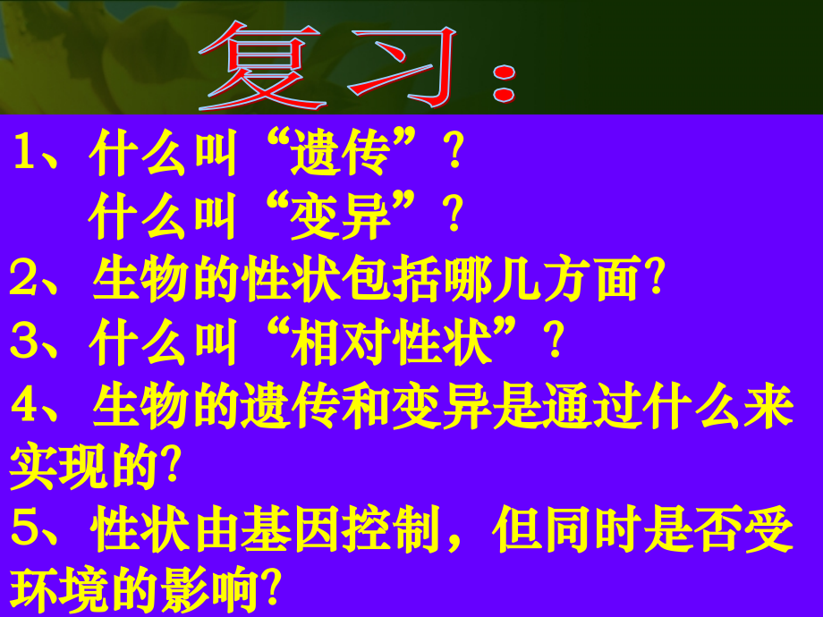 山东省日照秦楼中心初级中学722基因在亲子代间的传递课件.ppt_第1页