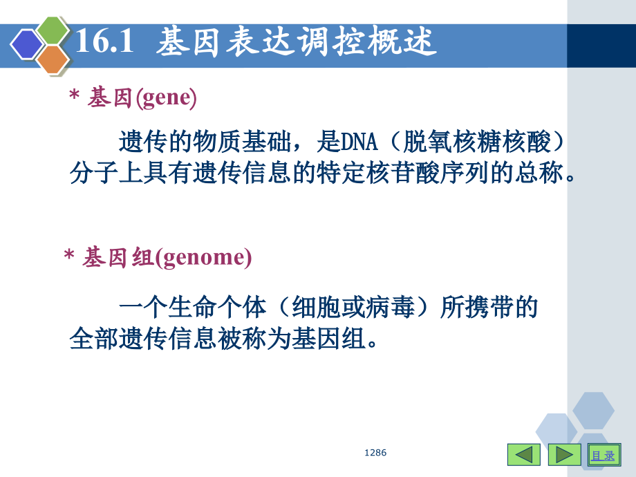确保基因的精确表达——调控.ppt_第2页
