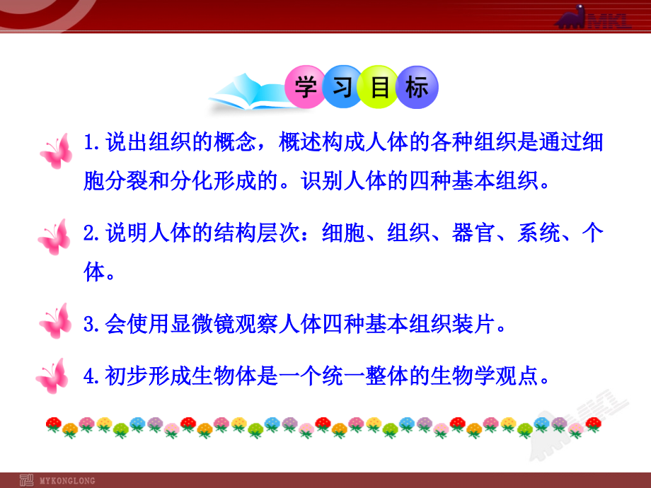 生物：2.3.1动物体的结构层次课件.ppt_第2页