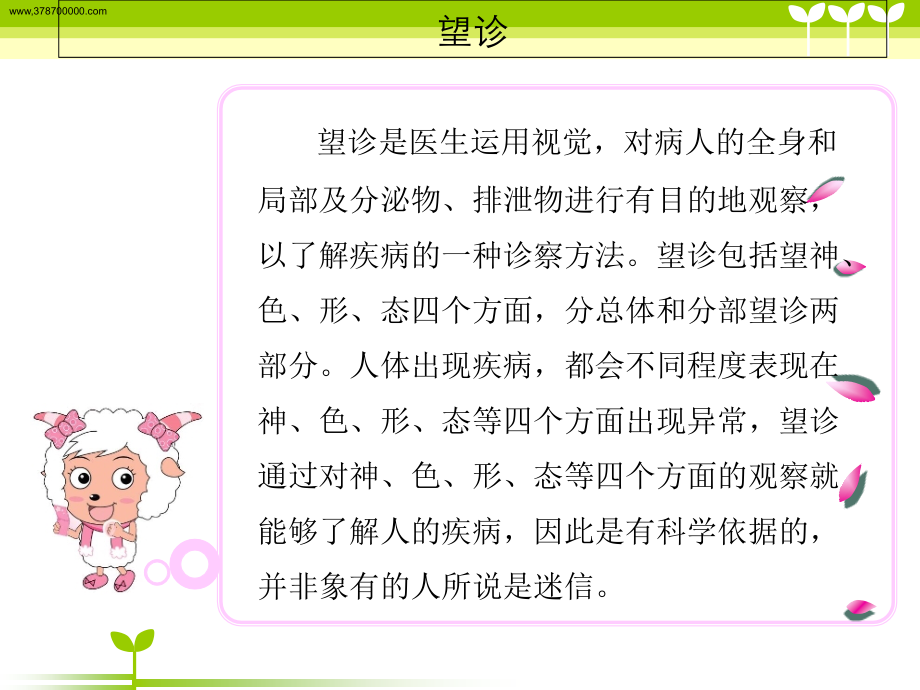 望闻切诊.ppt_第2页