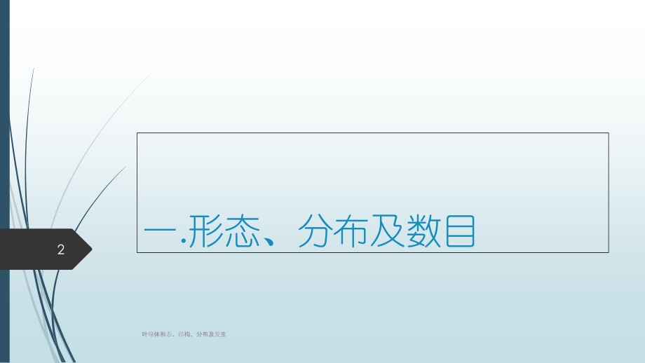叶绿体形态、结构、分布及发生.ppt_第2页