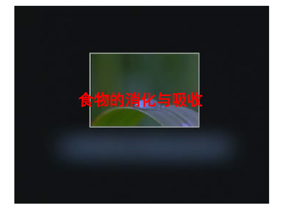 版生物七下第二章-第二节-消化和吸收.ppt_第2页