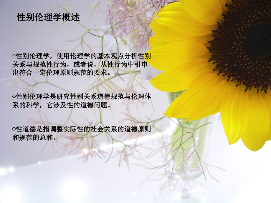 性别伦理学.ppt_第1页