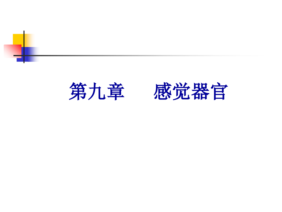 戈-感官课件.ppt_第1页