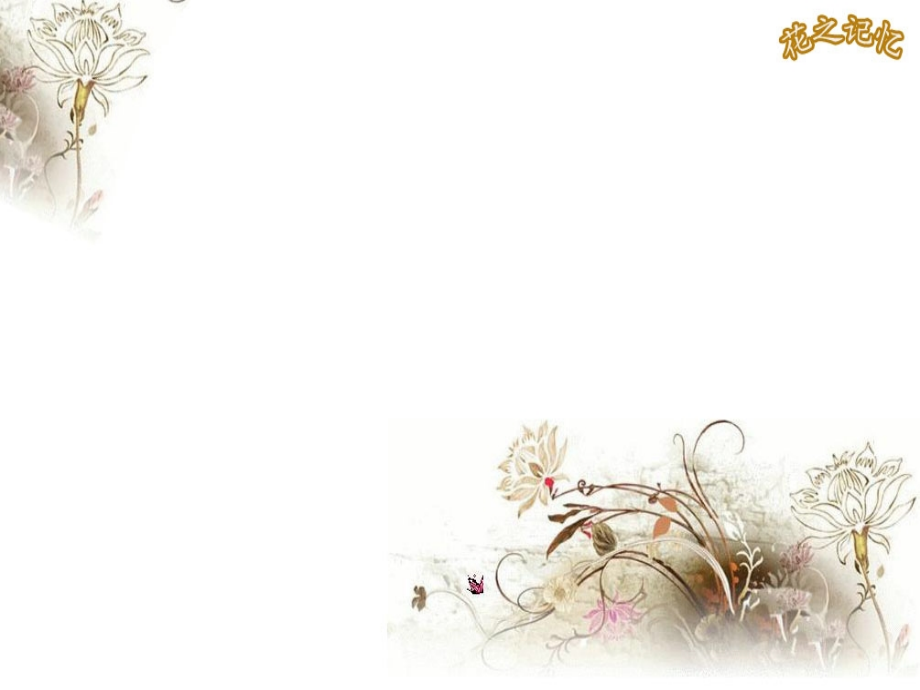 文胸销售技巧培训.ppt_第2页