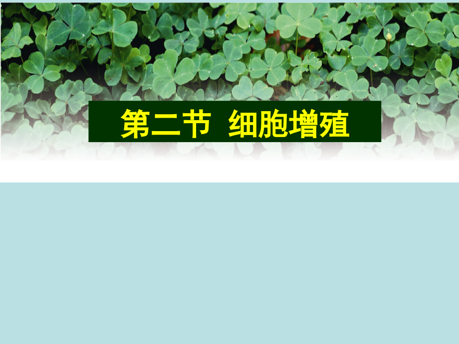 第二节细胞增殖课件.ppt_第1页