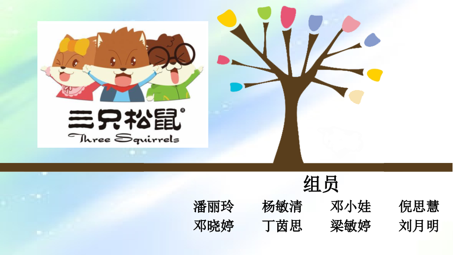 三只松鼠项目报告.ppt_第1页