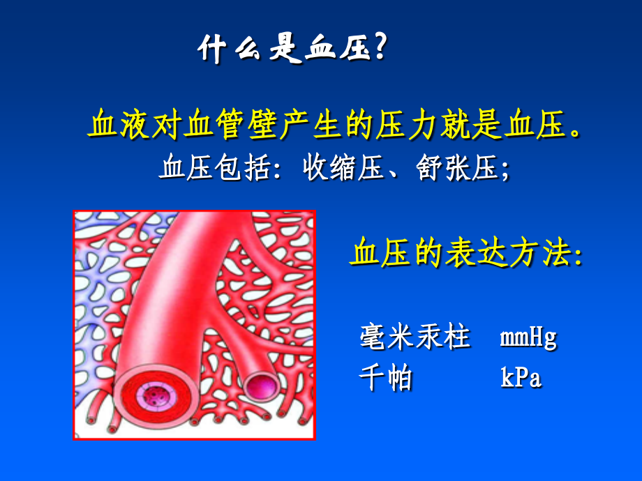浅谈高血压要点[1].ppt_第2页