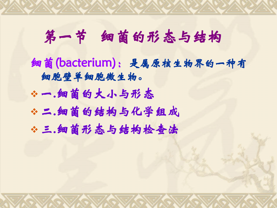 病原6.细菌的形态与结构课件.ppt_第1页