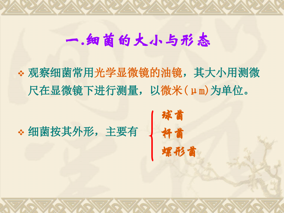 病原6.细菌的形态与结构课件.ppt_第2页