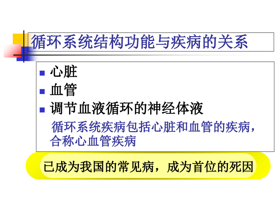 循环系统-概述课件.ppt_第1页