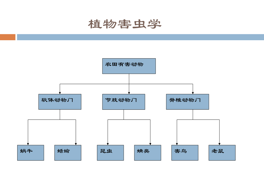 植物害虫学.ppt_第1页