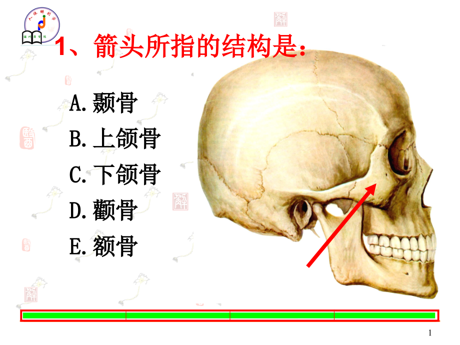 关节总论肌总论课件.ppt_第1页