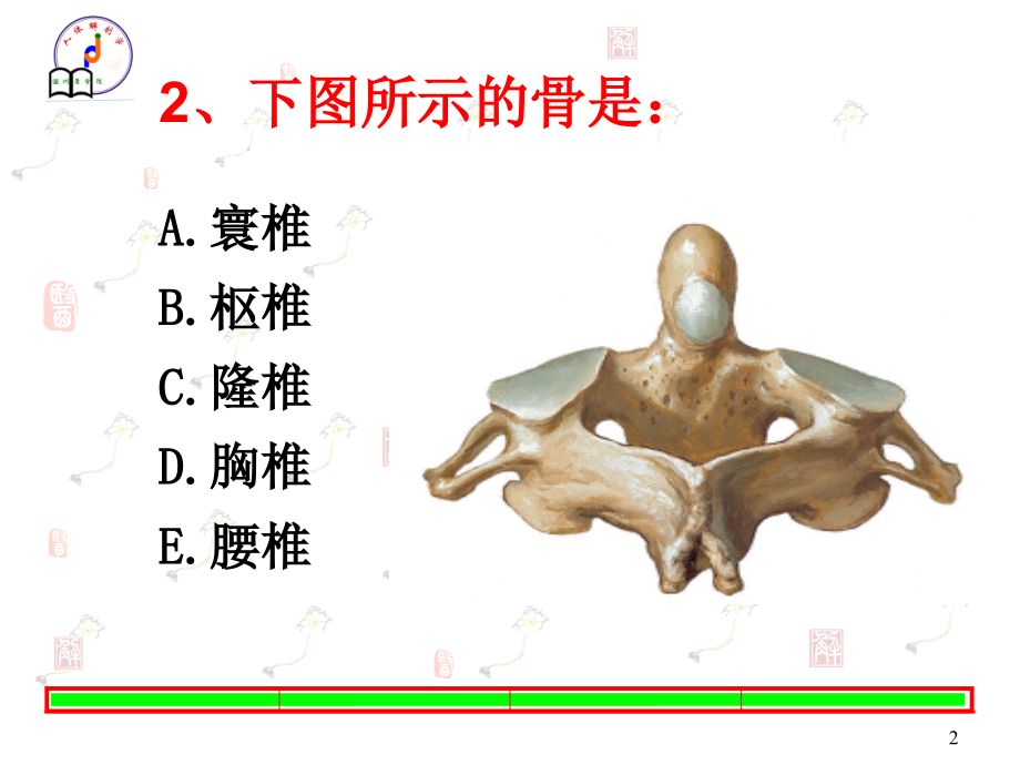 关节总论肌总论课件.ppt_第2页