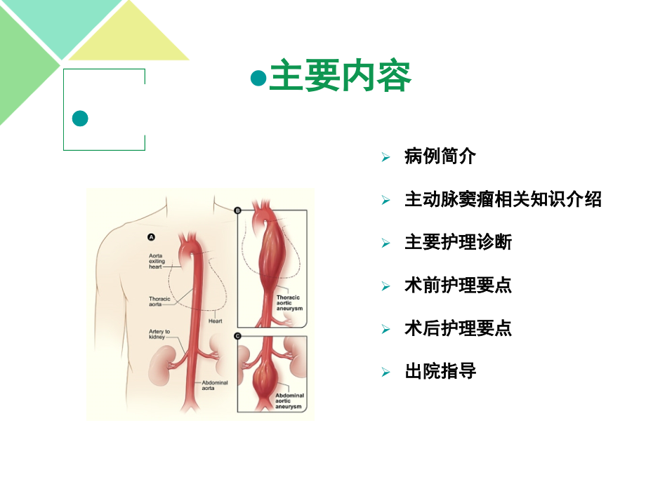 主动脉夹层动脉瘤围手术期教学查房课件.ppt_第1页